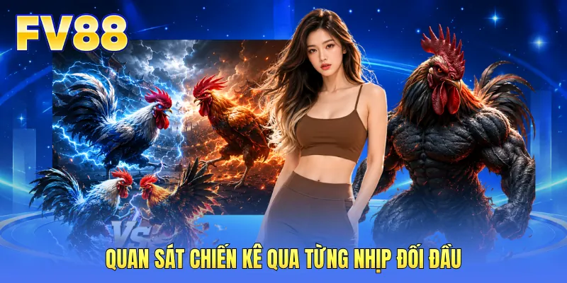 Đá Gà FV88 - Không Khí Sôi Động Từ Những Sới Gà Lớn - WINMOSAIC69 Đá Gà FV88 - Không Khí Sôi Động Từ Những Sới Gà Lớn - WINMOSAIC69