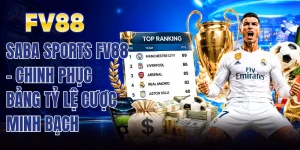 Tin Tức FV88 - Hướng Dẫn Đầy Đủ Các Cách Theo Dõi Tối Ưu - WINMOSAIC69